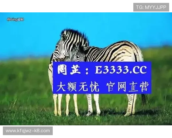 探索AG真人招全站登录的最新技术，确保每一次登录都顺畅无忧